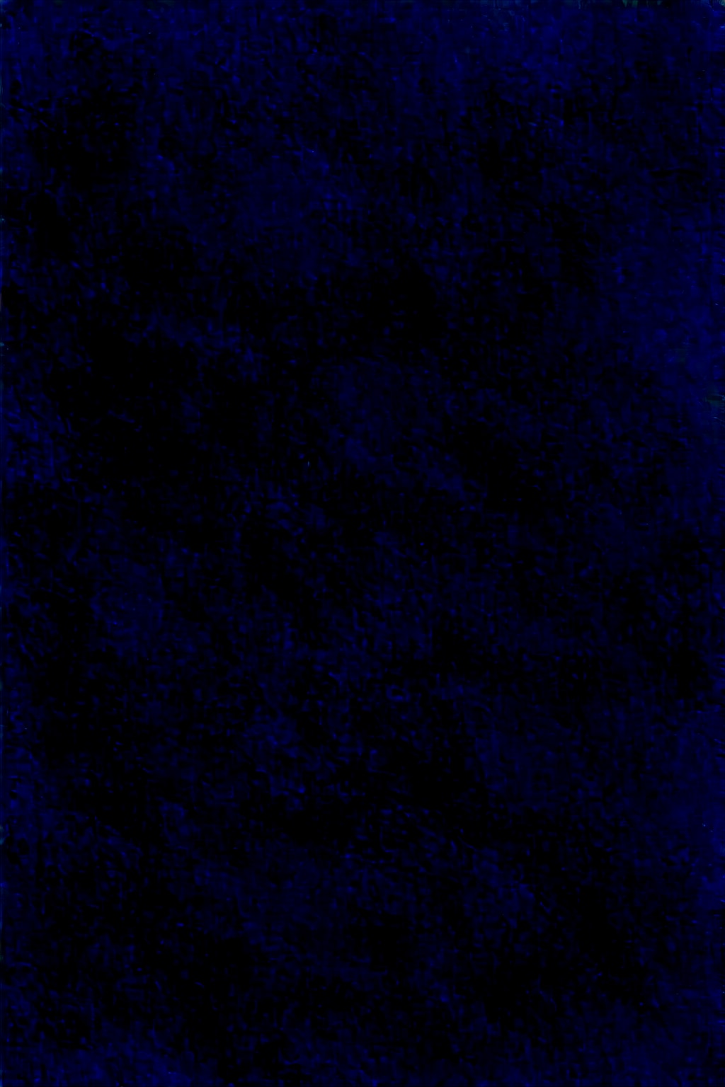 クロミナ【coco-style-Illustrious-XL v2.0】