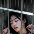 今日も野良回収 2枚目