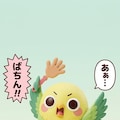 えらインコっちゃフィギュア 4枚目