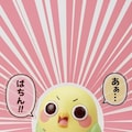 えらインコっちゃフィギュア 6枚目