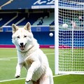 ただの犬じゃねぇー！！ 3枚目
