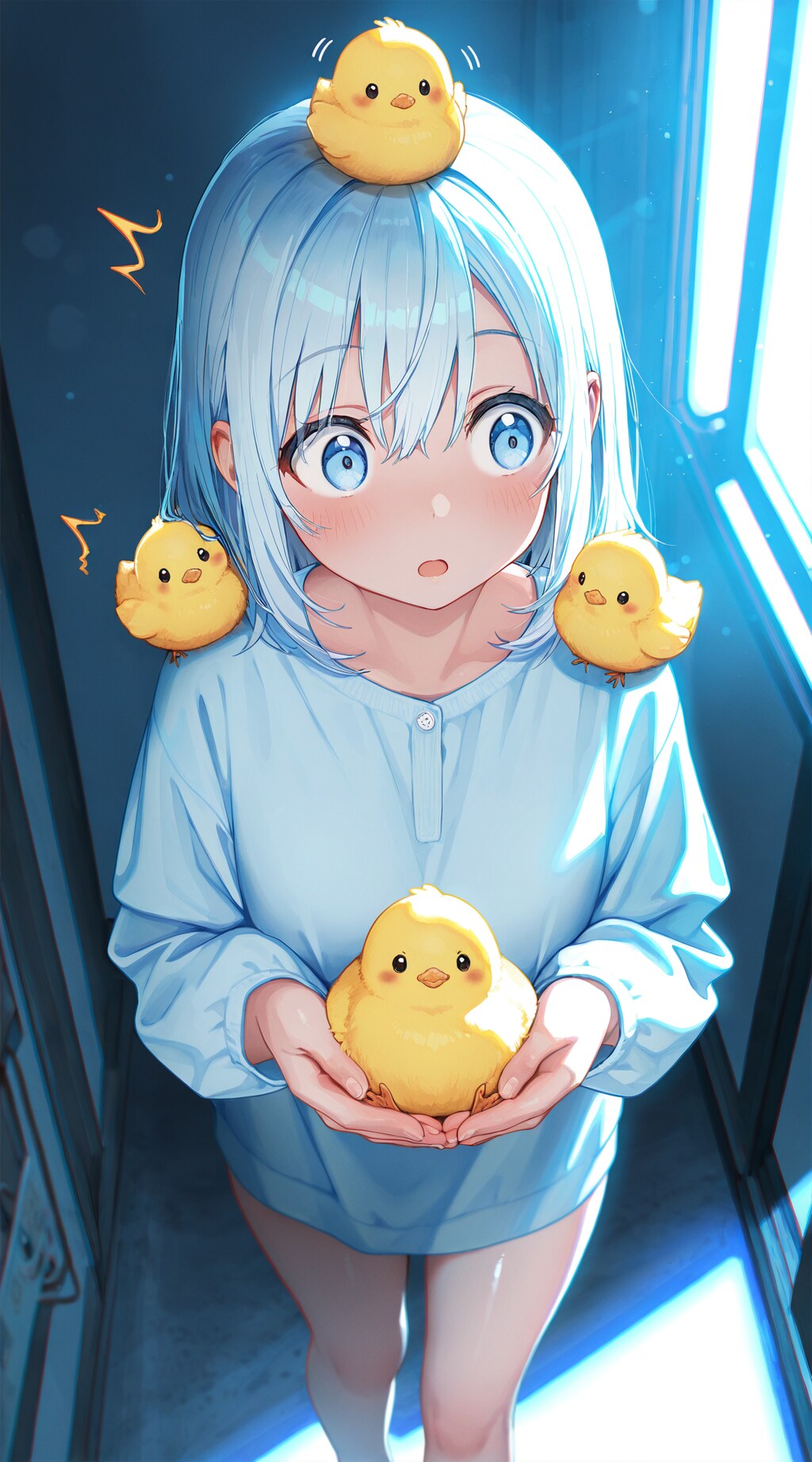 ぴよぴよひよこ祭り 1