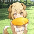 フリスビー犬 2枚目