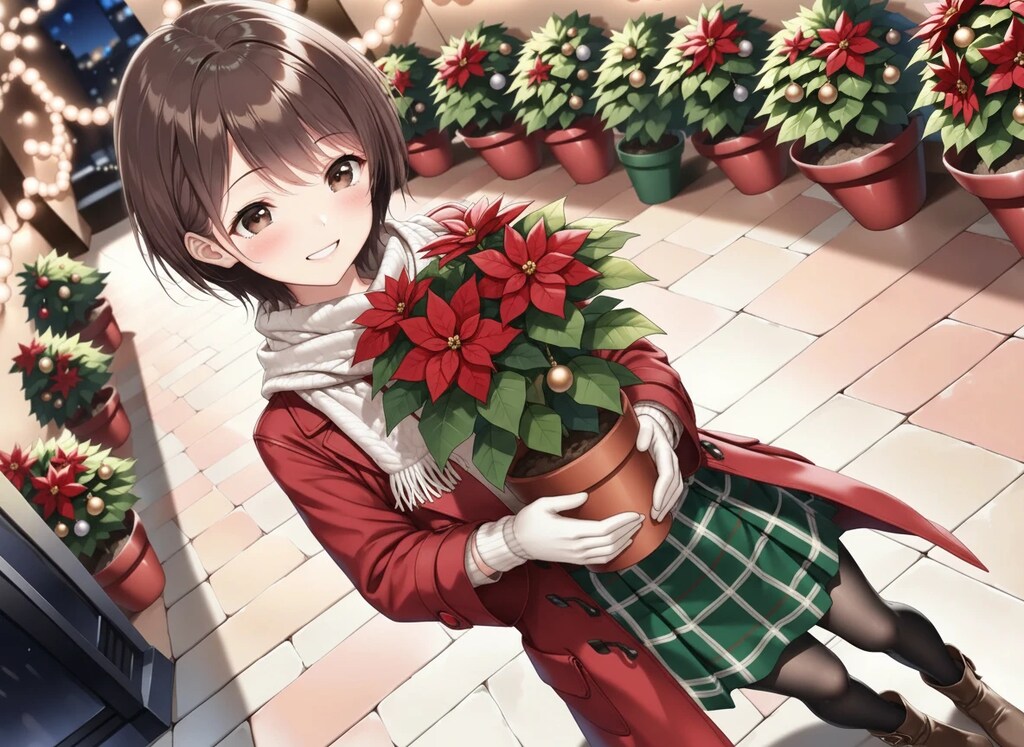 12/9 誕生花 『ポインセチア 』