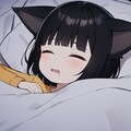 12月の通りすがりの迷子猫② 11枚目