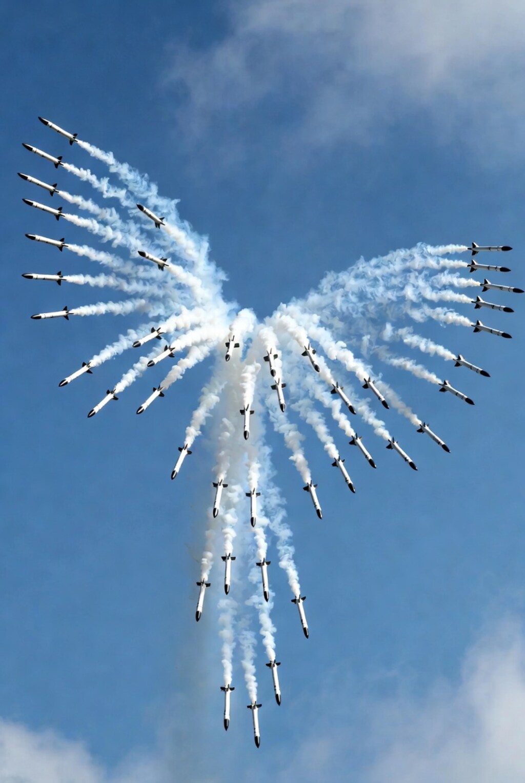 エンジェル・デコイ