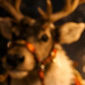 ちゃんと見てるよー | の人気AIイラスト・グラビア