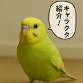 いぬとねこといんこ21 6枚目
