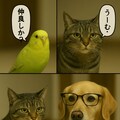 いぬとねこといんこ21 10枚目