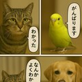 いぬとねこといんこ21 3枚目