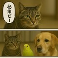 いぬとねこといんこ21 4枚目
