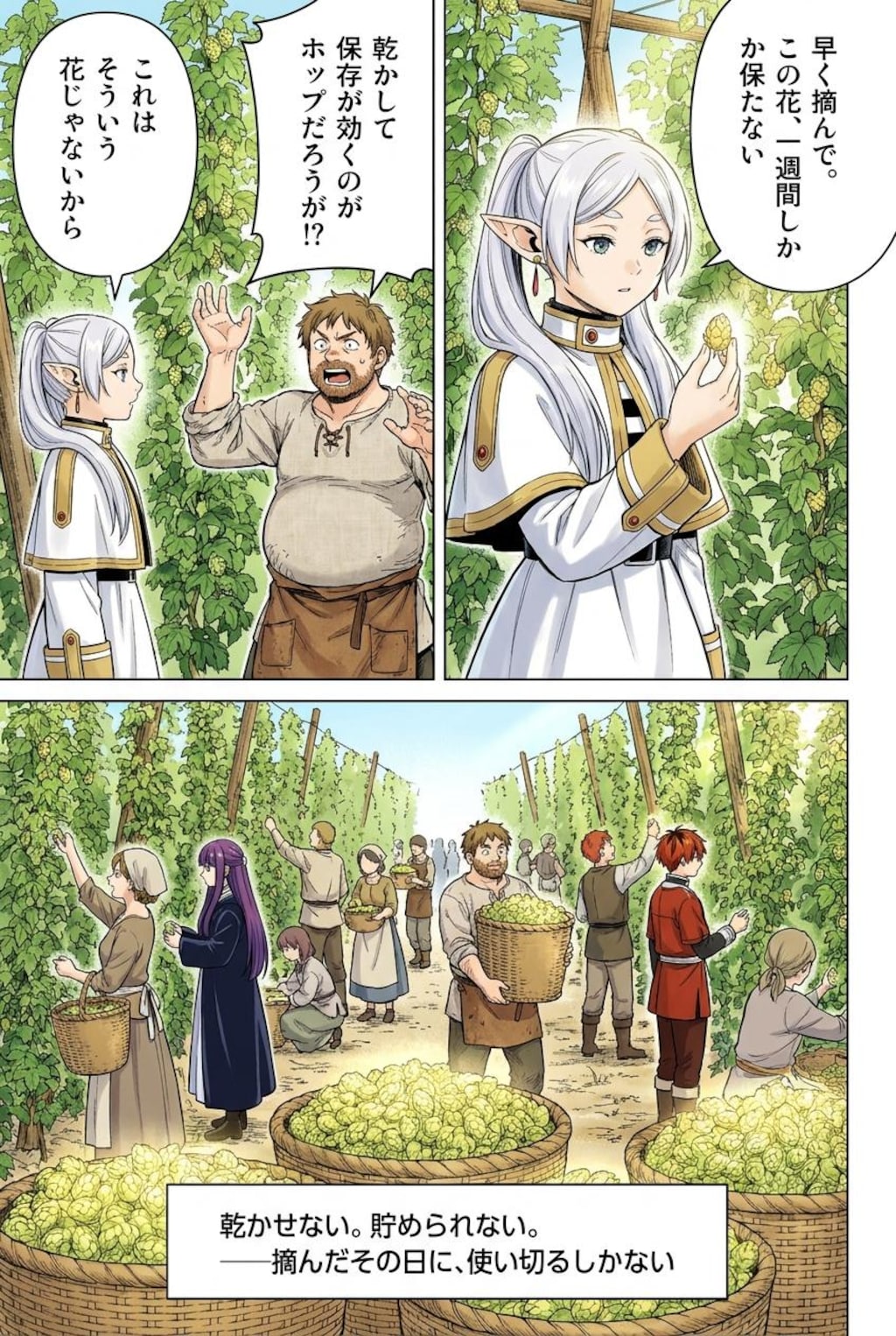 花送りのフリーレン 4話『黄金の毬花』後編