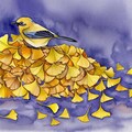 Bird on ginkgo leaves 2枚目