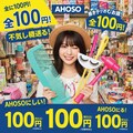 アホ100均 11枚目