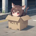 ダンボール箱 2枚目