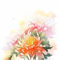 お年賀 4枚目