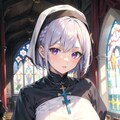 （２９５HQ）銀髪ちゃんシスター 2枚目