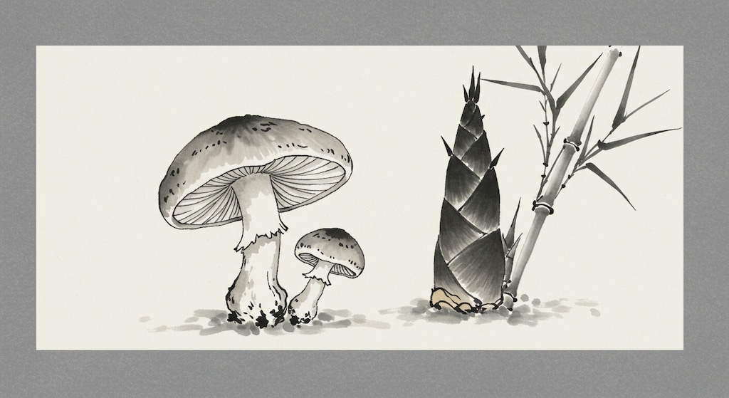 きのこたけのこ果し合い