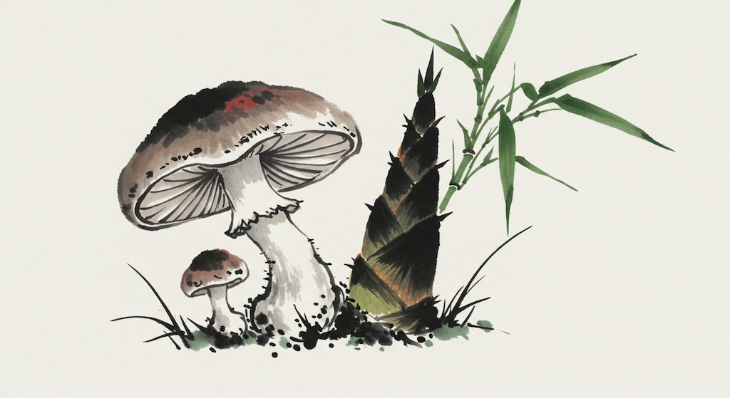 きのこたけのこ果し合い