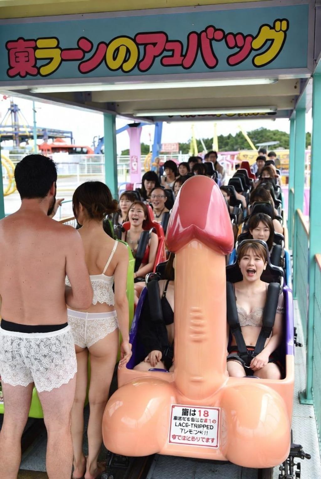 ジェットレースター【おとなの国シリーズ】