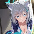汗だく砂狼シロコ 2枚目