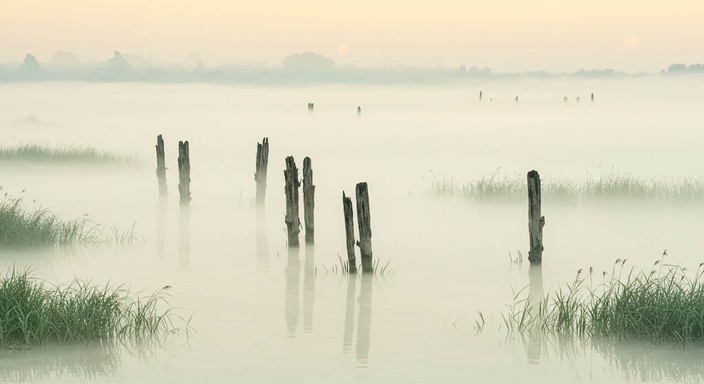 朝霞～瀬々の網代木