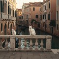 ヴェニス(イタリア) 2枚目