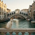 ヴェニス(イタリア) 4枚目