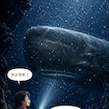のびかちゃん海底ハイキングの巻 6枚目