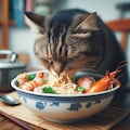 猫の食事風景 2枚目
