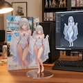 アイシャちゃんフィギュア 2枚目