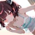 きりたんぽ 4枚目