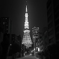 東京タワー　モノクロ写真風 2枚目