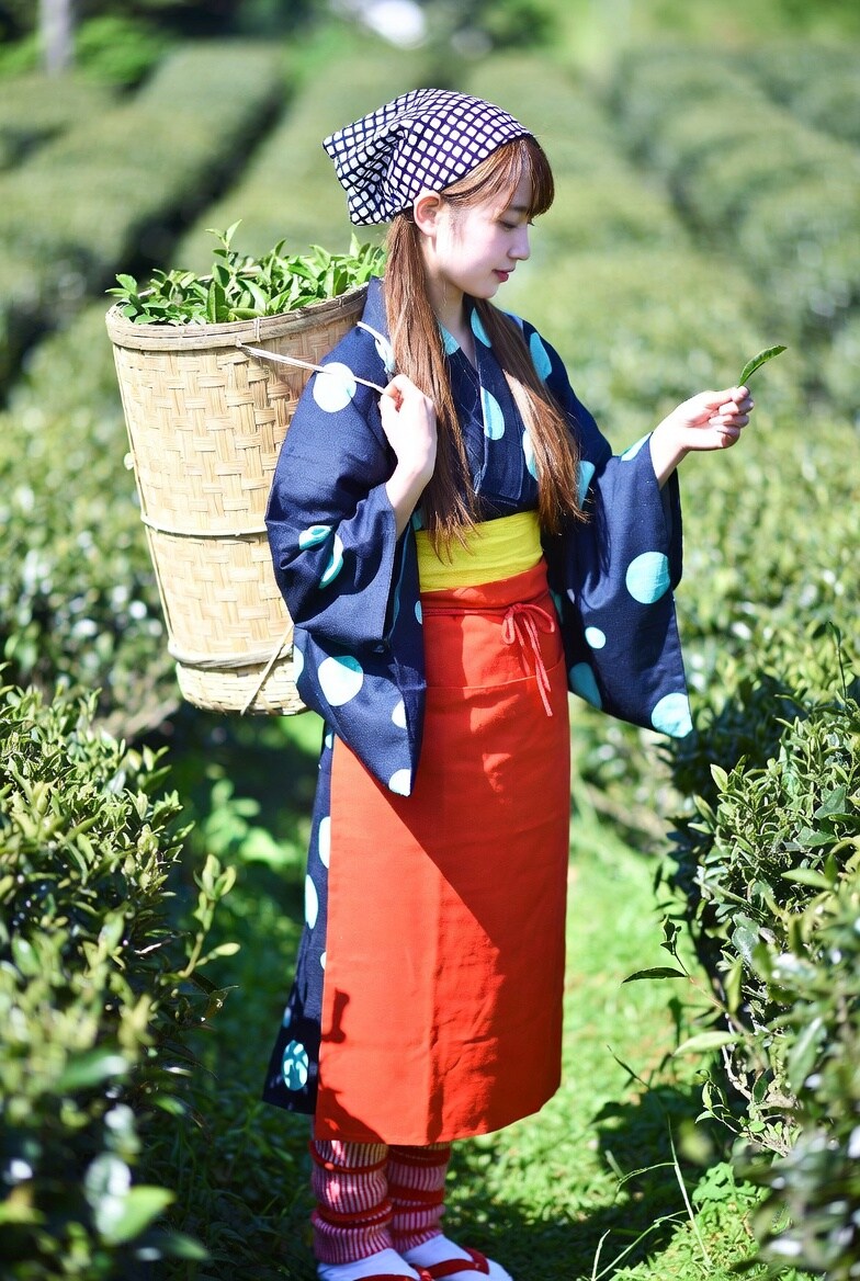 チャパタさんの朝は早い