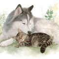 旅の途中の犬猫たち 4枚目