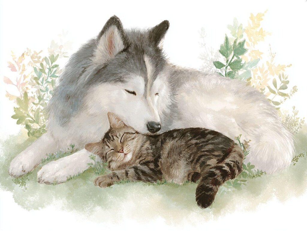 旅の途中の犬猫たち