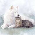 旅の途中の犬猫たち 2枚目