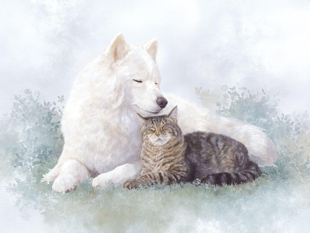 旅の途中の犬猫たち