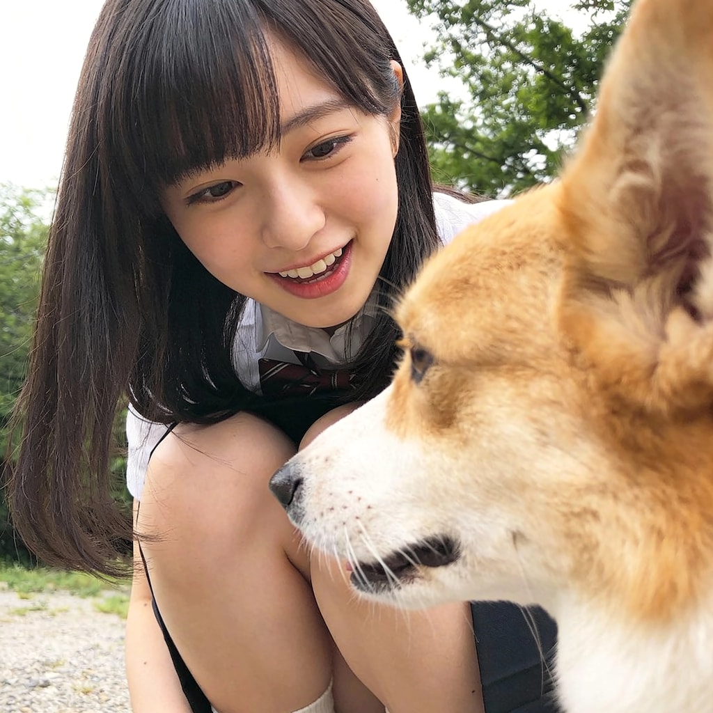 Afternoon Nap: Girl and Corgi in Sunlight