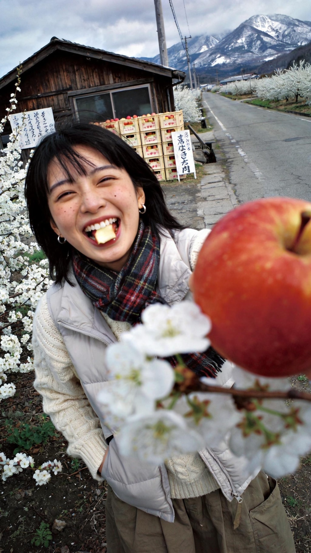 Postcard from the Japanese Alps