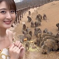 温泉地別府巡り 5枚目