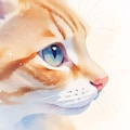 猫の横顔アップ 2枚目