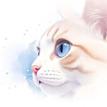 猫の横顔アップ 4枚目