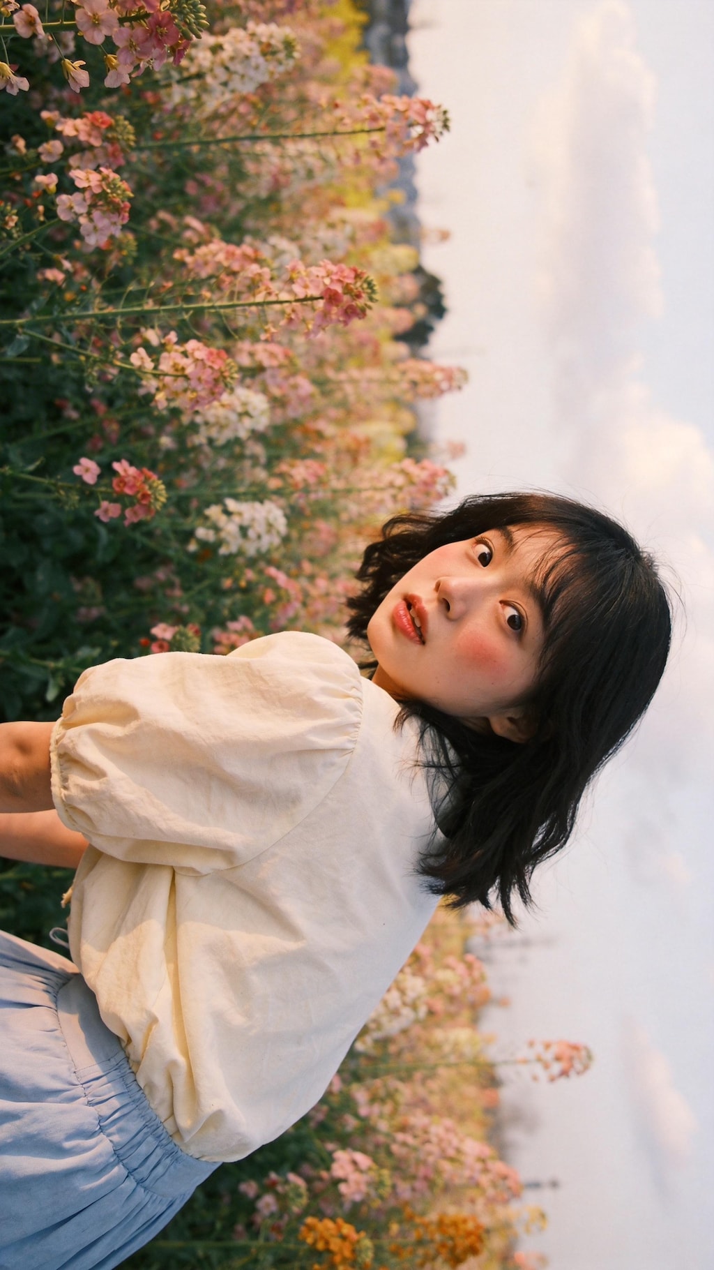 Lost Among Soft Petals