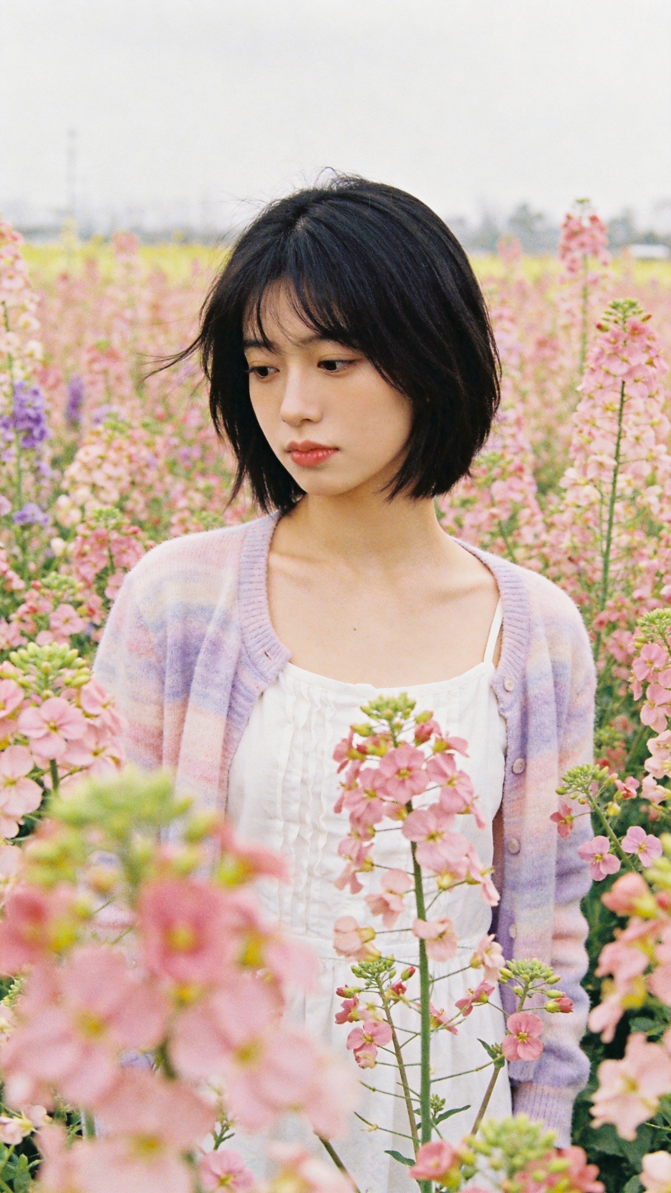 Lost Among Soft Petals | の人気AIイラスト・グラビア