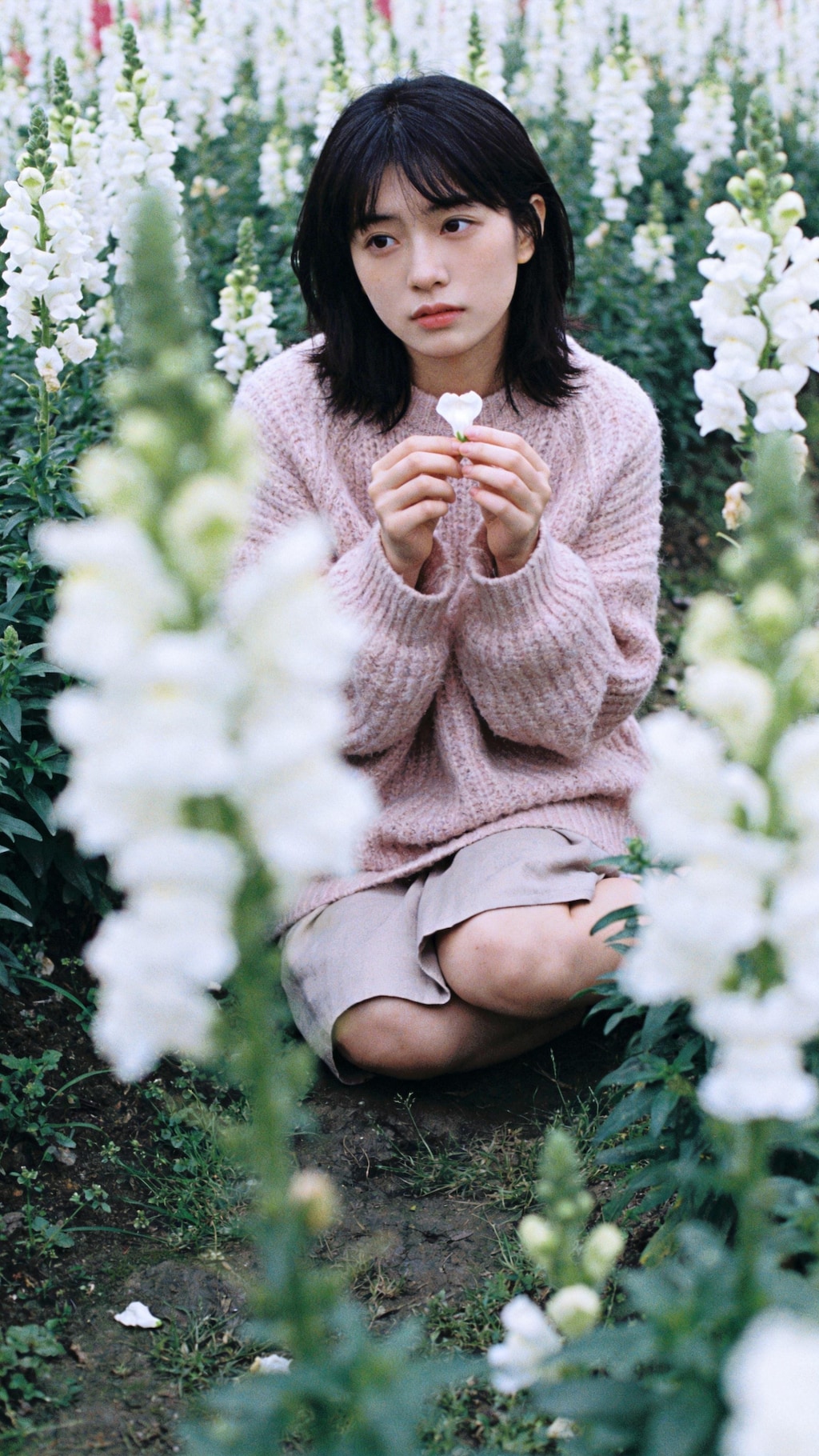 Lost Among Soft Petals