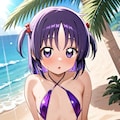 ハヤテのごとく　瀬川泉 3枚目