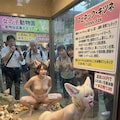 女の子動物園２ 8枚目