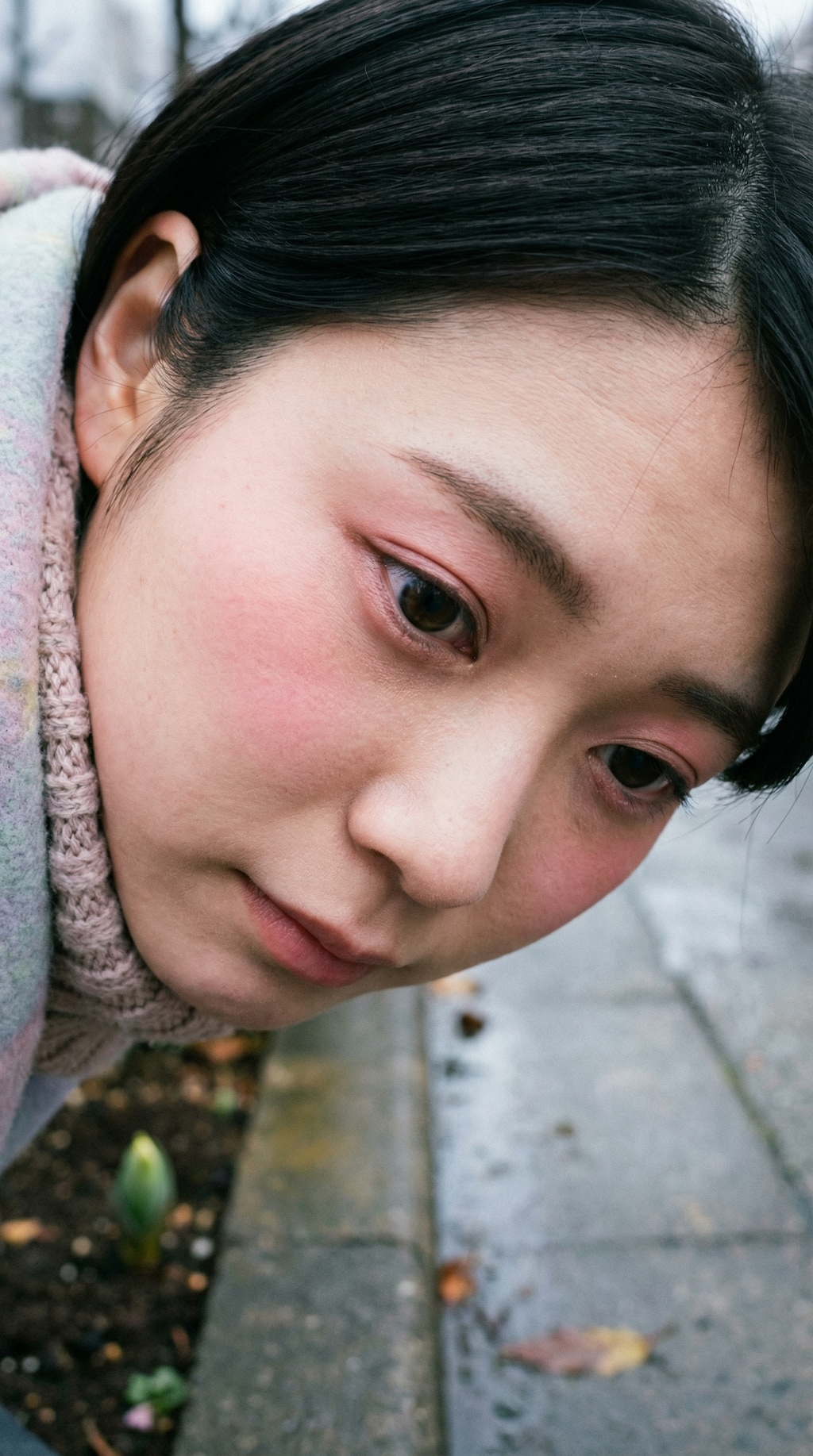 Gaze of Early Spring