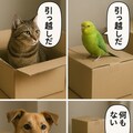 いぬとねこといんこ6 8枚目